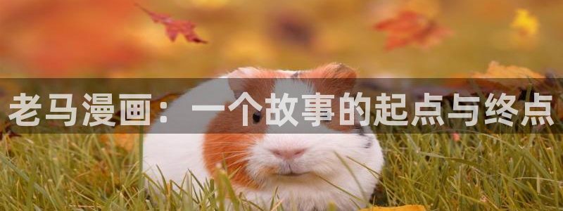 yy漫画在线