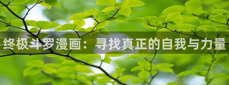 yy漫画免费进入