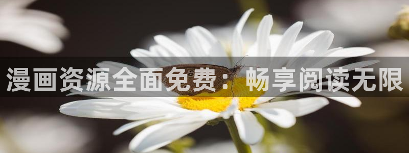 yy漫画人生在线韩漫阅读