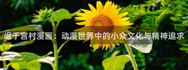 yy漫画网韩版