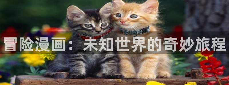 yy漫画在线免费观看：冒险漫画：未知世界的奇妙旅程