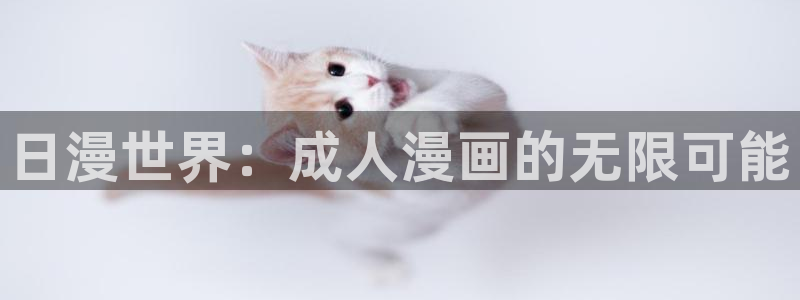 yy漫画正