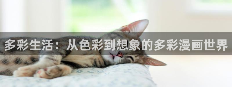 yy漫画免费登录入口